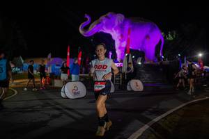 BIB: 
                            <button type="button" onclick="openModal(26552047)" class="btn btn-primary btn-sm float-right btn-popup" data-toggle="modal" data-target=".modal-high-quality">
                        <i class="fas fa-shopping-cart"></i> Add to Cart
                    </button>
                                            <button type="button" onclick="isThisMe(26552047, true)" class="btn btn-success btn-sm float-right btn-popup btn-isme hidden" data-toggle="tooltip" data-placement="bottom" title="นี่คือรูปของคุณใช่ไหม คลิกที่นี่เพื่อเอาเข้าอัลบั้ม">
                        <i class="fas fa-plus"></i> Add to album
                    </button>
                    <button type="button" onclick="isThisMe(26552047, false)" class="btn btn-warning btn-sm float-right btn-popup btn-isnotme hidden">
                        <i class="fas fa-ban"></i> Remove from album
                    </button>